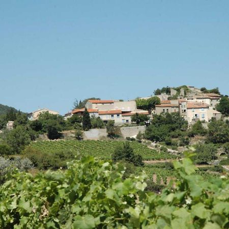 Cecile Villa Montgaillard  Екстериор снимка