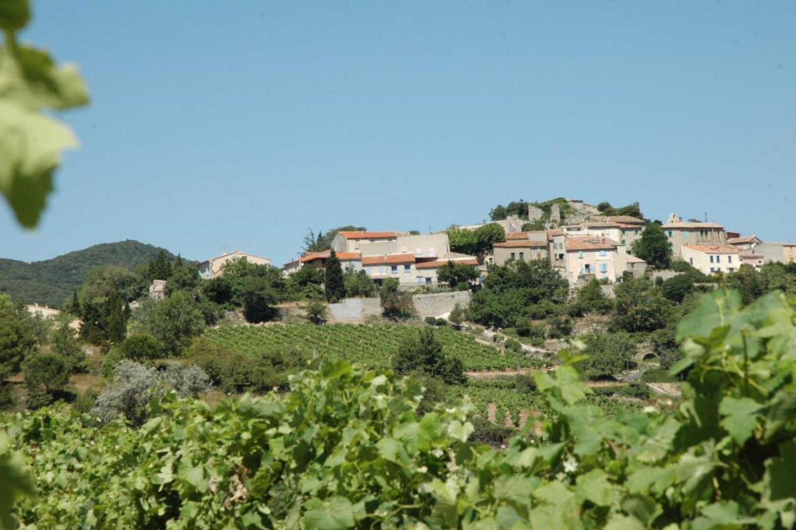 Cecile Villa Montgaillard  Екстериор снимка
